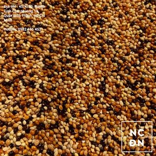 Cỏ thái ngũ sắc cho chim cu- Ngũ cốc Đặng Nam