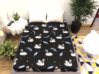 Ga chống thấm Cotton TPU