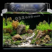 ĐÈN LED AQUABLUE