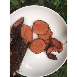 củ nâu miền núi mát gan thanh nhiệt
