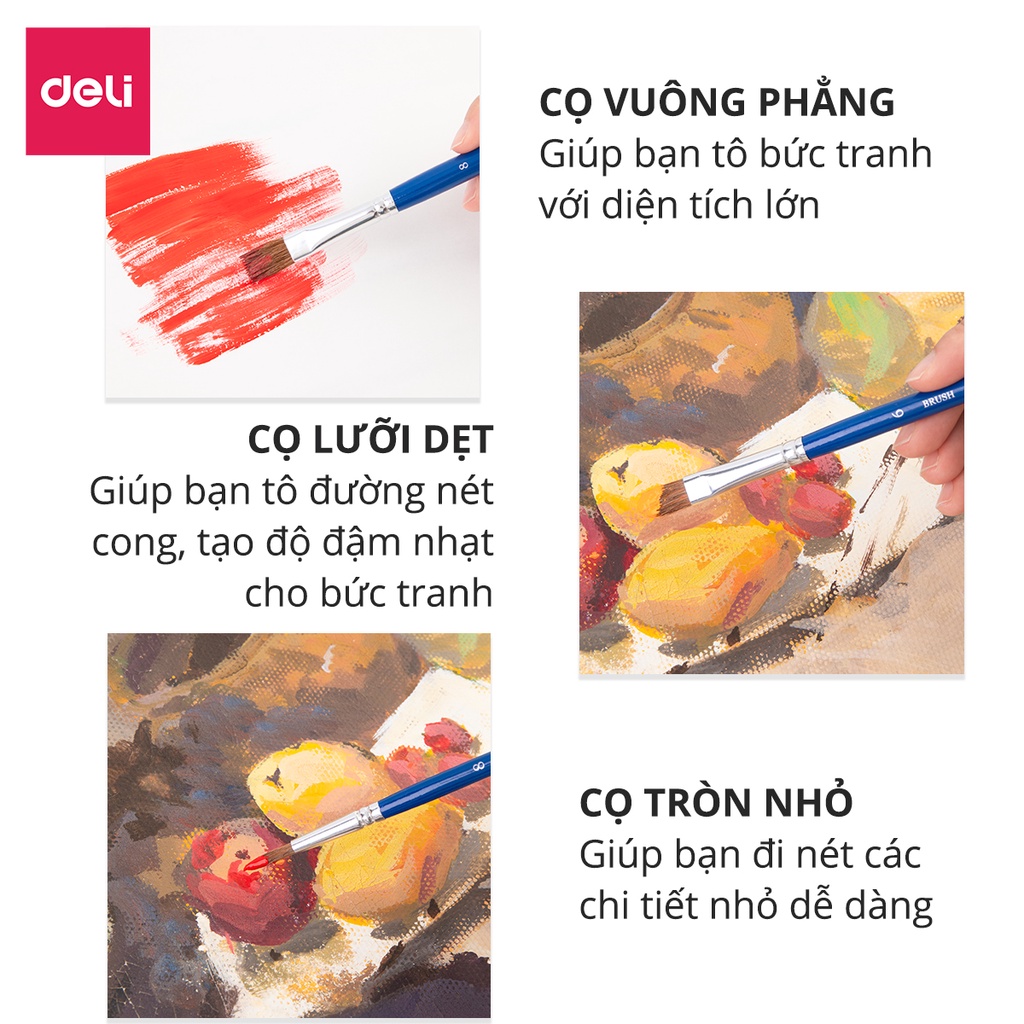 Bộ 4/6 cây cọ vẽ chuyên nghiệp Deli - Được làm từ sợi lông động vật mềm mại, nhiều sự lựa chọn - 73921 / 73922 / 73923