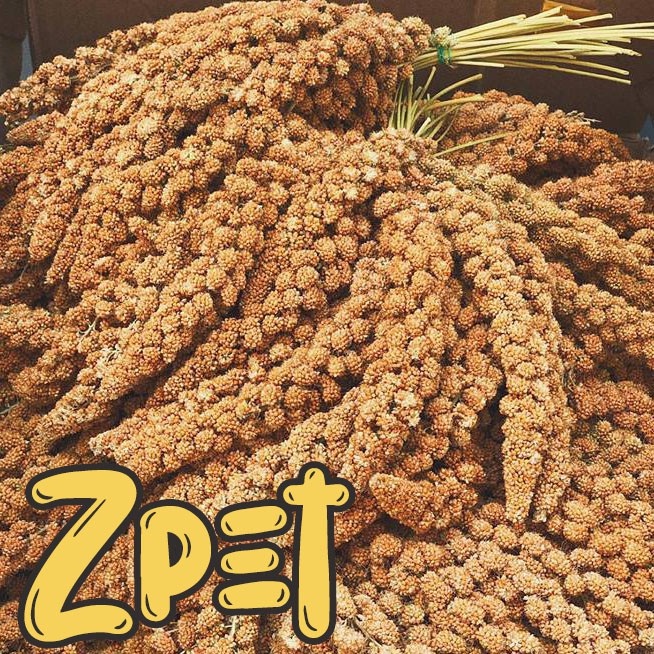 Kê sợi dành cho thú cưng
