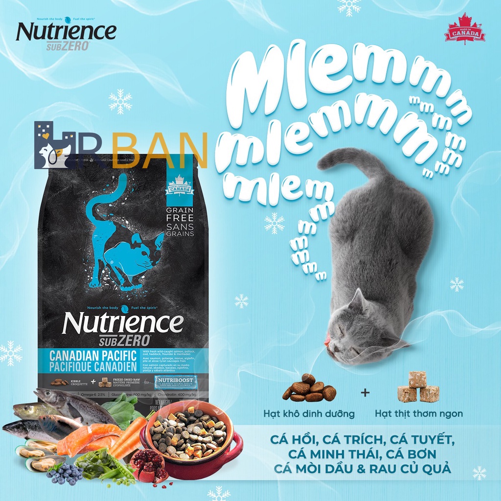 𝗨𝗿𝗯𝗮𝗻_NUTRIENCE SUBZERO_Hạt thịt thật cho mèo mọi lứa tuổi