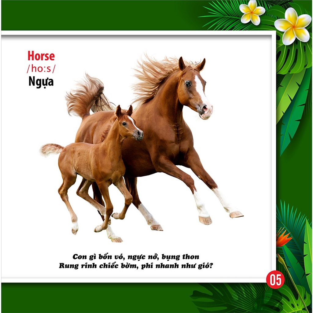 Sách - Cùng Bé Khám Phá Thế Giới Xung Quanh - Động Vật - Sách Song Ngữ