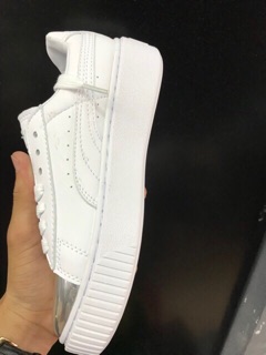 (ẢNH THẬT CHI TIẾT) PUMA MŨI BẠC