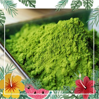 Bột matcha Đài Loan hương nhài Mũ đỏ gói 500g