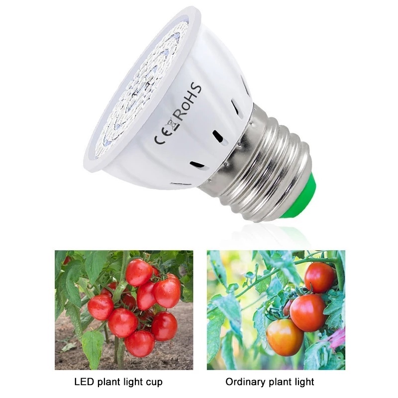 Đèn LED Hỗ Trợ Cây Tăng Trưởng Toàn Diện