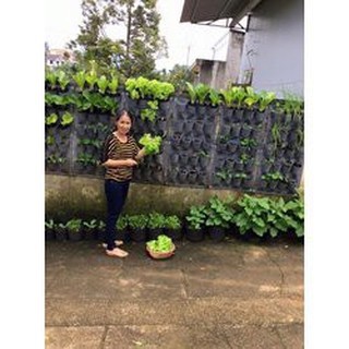 Túi trồng rau sạch 20 ô siêu tiện lợiSHOPEMTRANG7Túi vải trồng rau củ treo tường bằng vải bông dệt siêu bền