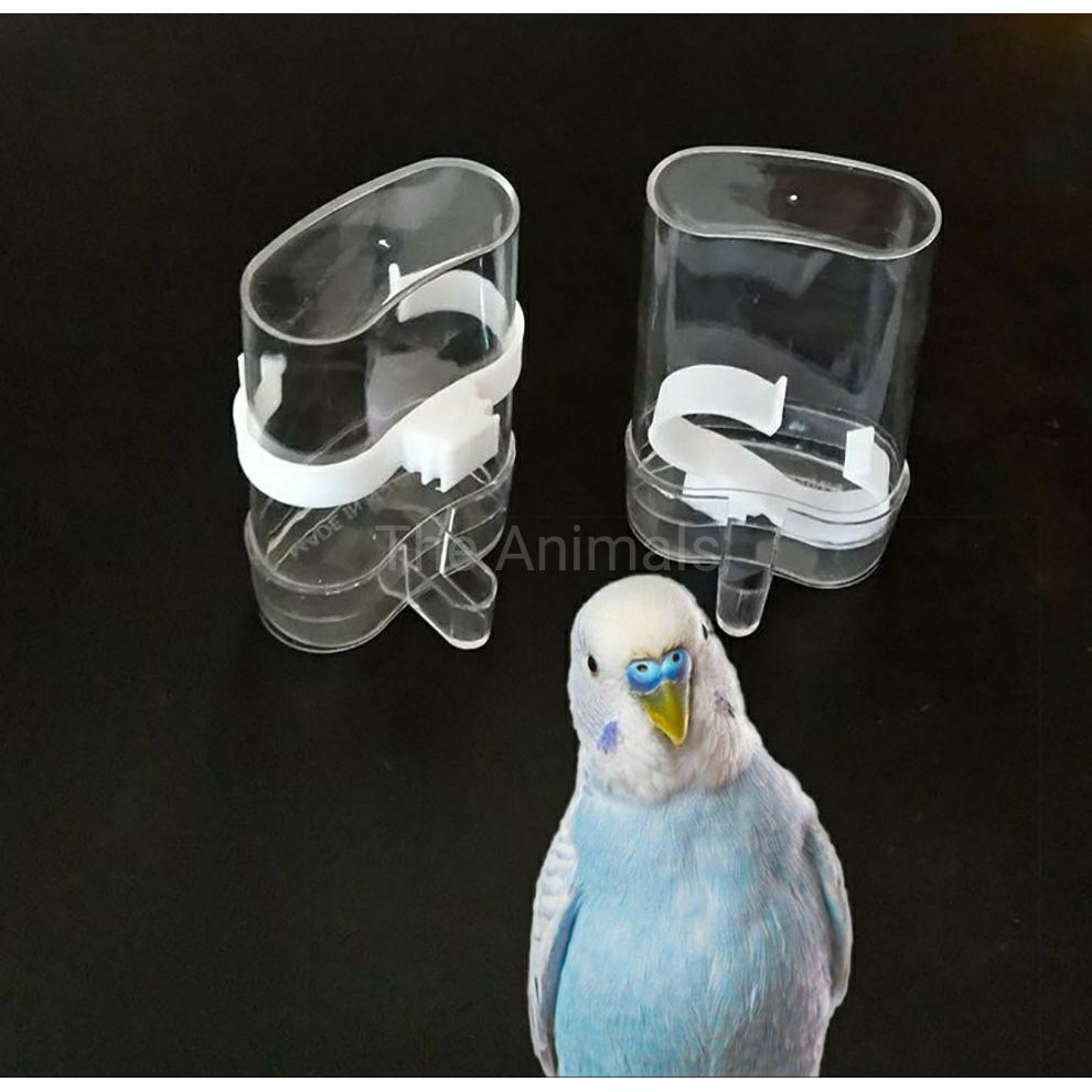 Bình uống nước, đựng thức ăn tự động cho chim  - Cóng uống nước cho chim