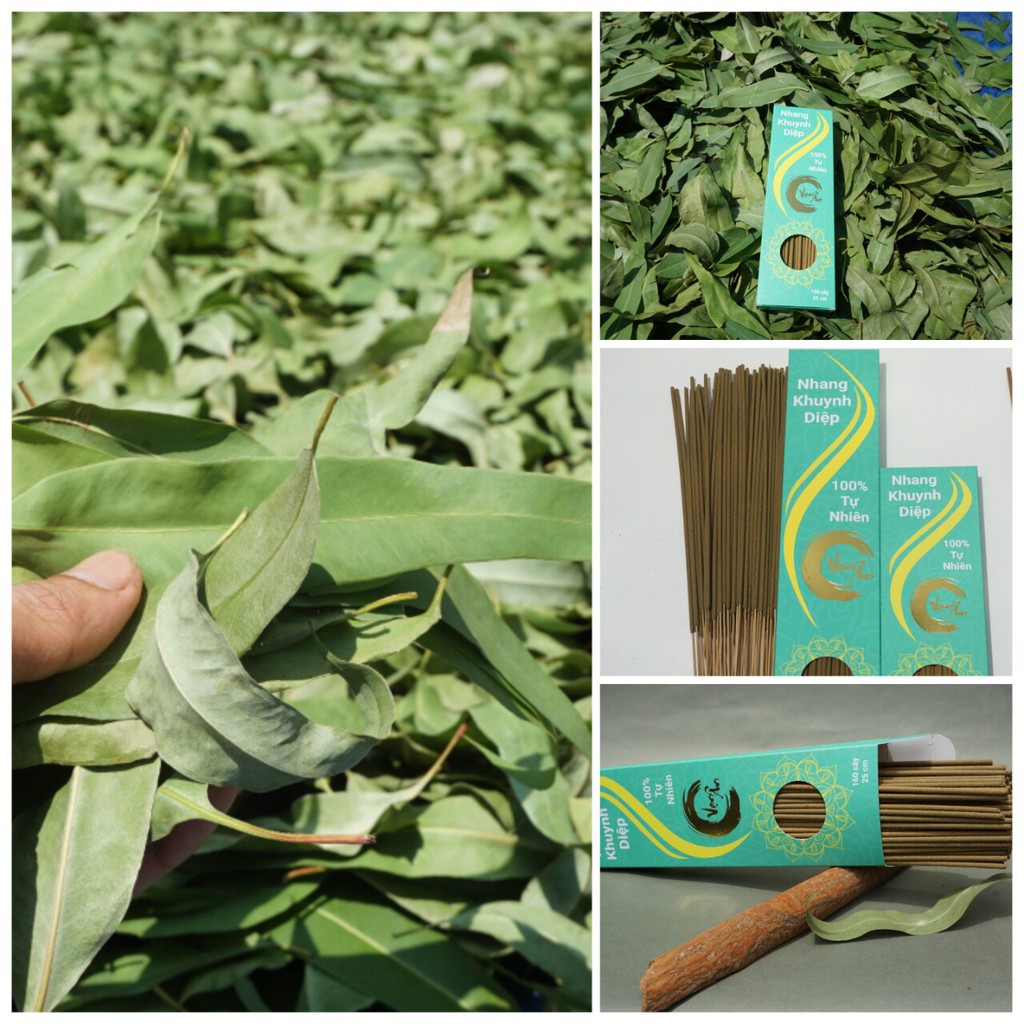 Bột lá khuynh diệp nguyên chất 1Kg
