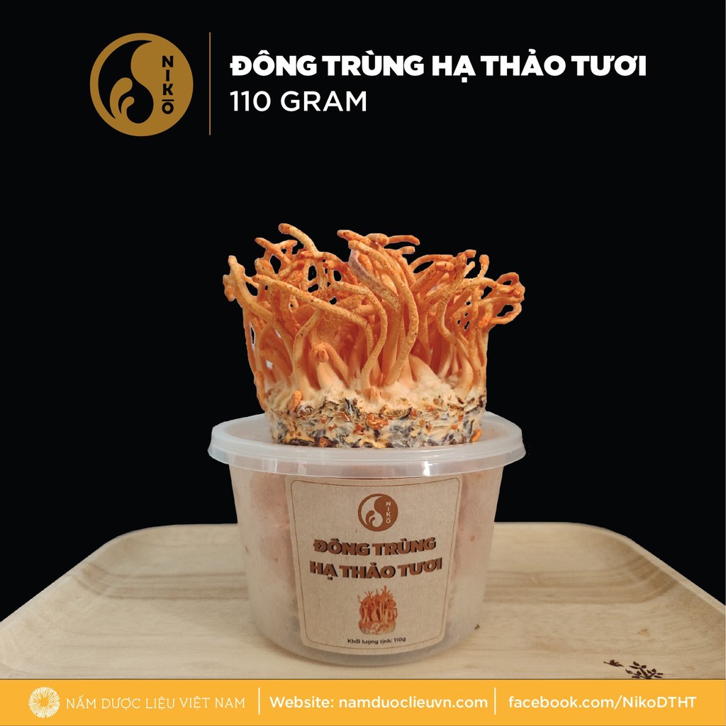 Đông Trùng Hạ Thảo Athena dạng tươi 110gr