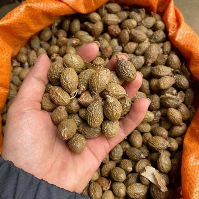 Hạt ươi chuẩn loại 1 đặc biệt ( hộp 500gr )