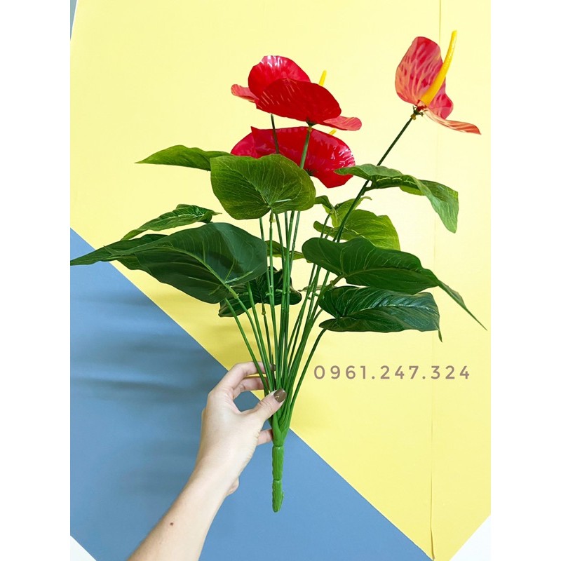 Cây giả - cây hồng môn 50cm