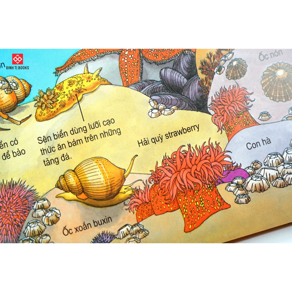 Sách - Bách khoa tri thức dành cho trẻ em