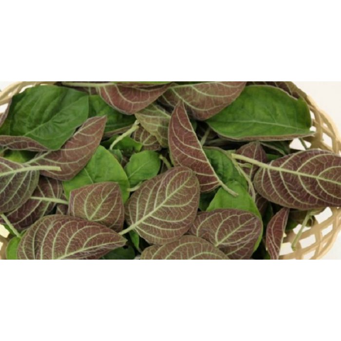 1kg lá mơ lông tím tươi