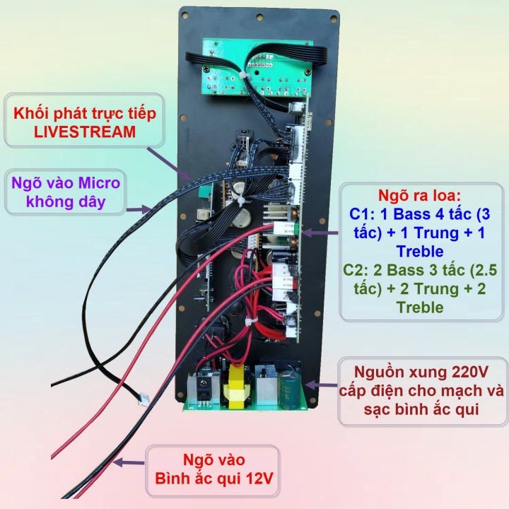 Mạch loa kéo TPA3116D2 150W LIVESTREAM - DSP lập trình chống hú loa kéo 4 – 3 tấc ĐƠN hoặc 3 – 2.5 tấc ĐÔI VR XANH