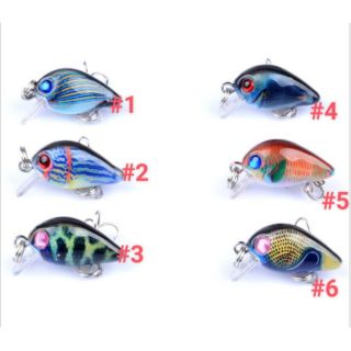 Mồi Ruồi 3D - Chuyên câu rô phi, cá lóc, cá sộp