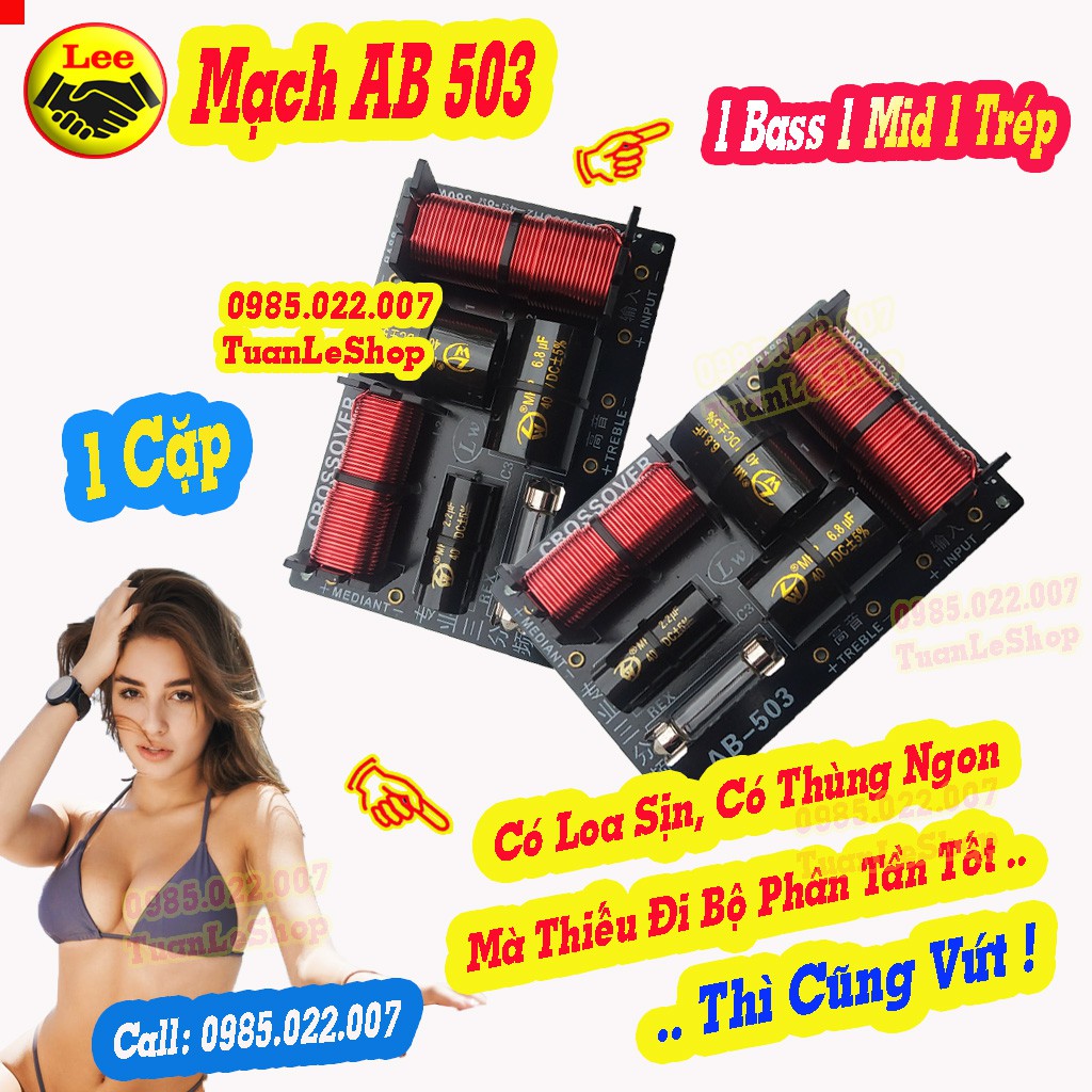 MẠCH LOA AB 503 – MẠCH 1 BASS 1 MID 1 TREP - GIÁ 2 MẠCH 3 LOA AB503