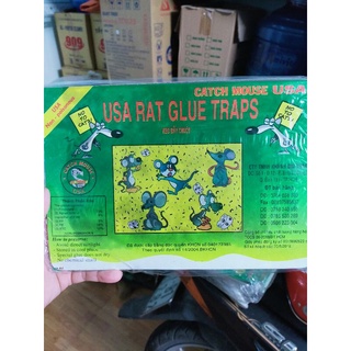 Miếng dán chuột