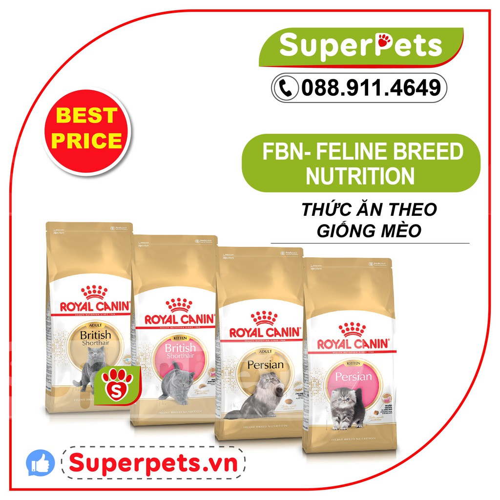 Thức Ăn Cho Mèo British Shorthair Persian Kitten Adult Royal Canin Chính Hãng Nhập Pháp SUPERPETS VIỆT NAM