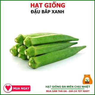 [Flash Sale 1 Day] 110 Hạt Giống Đậu Bắp Sai Trái, Chịu Nhiệt