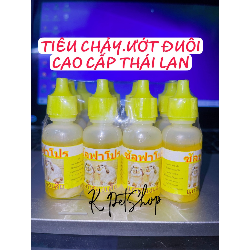 Tiêu chảy - Ướt đuôi Thái cho hamster thỏ bọ sóc nhím,...