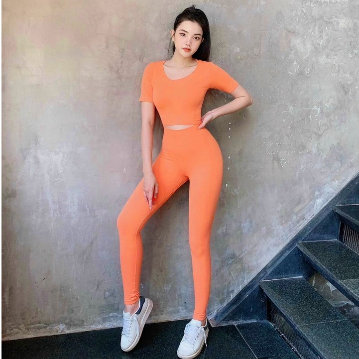 Set đồ tập gym yoga thể thao nữ dệt kim áo crop quần dài cao cấp hàng nhập Bin Sports BD159