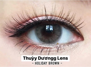[Kính Áp Tròng] Holiday Brown
