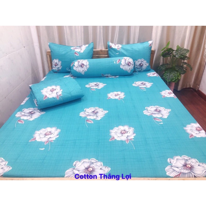 DRAP COTTON THẮNG LỢI MỚI - SỈ LẺ TQ