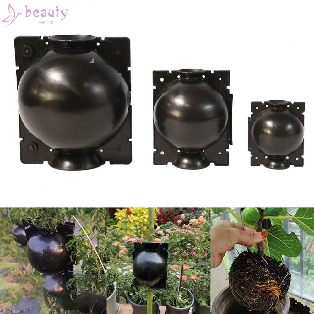 Set 3 Hộp Chăm Sóc Cây Trồng Bền Bỉ Tiện Dụng