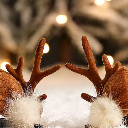 A Deer With You Jewelry Store