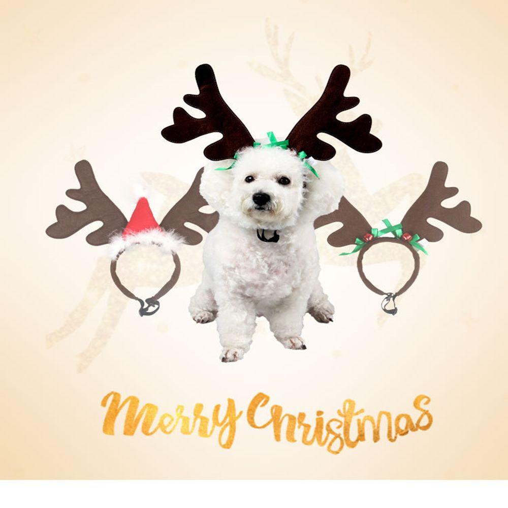 Băng Đô Cài Tóc Xinh Xắn Cho Thú Cưng