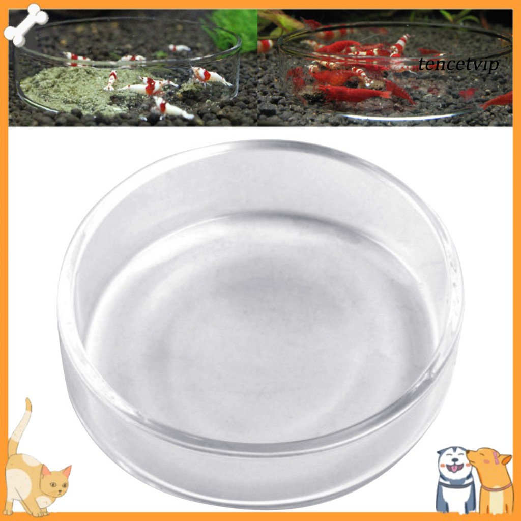 Đĩa Thủy Tinh Đựng Thức Ăn Dành Cho Tôm Cảnh