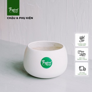 Chậu gốm trồng cây hạt dẻ TROPICAL FOREST