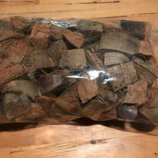 Xơ Dừa Cục Trồng Lan Hiệu Quả Cao