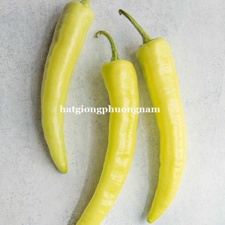 HẠT GIỐNG ỚT SỪNG VÀNG
