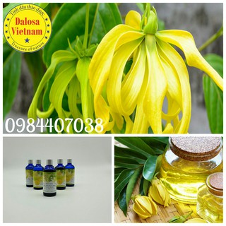 Tinh dầu ngọc lan tây 50ml