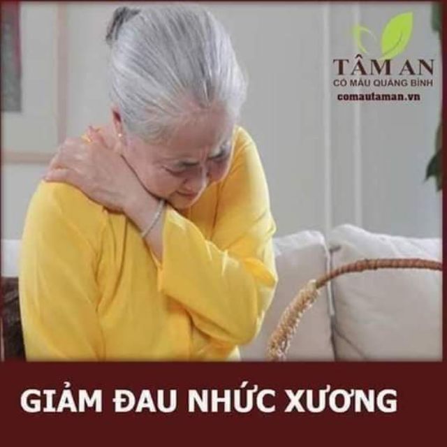 (CHÍNH HÃNG)CỎ MÁU TÂM AN QUANG BÌNH