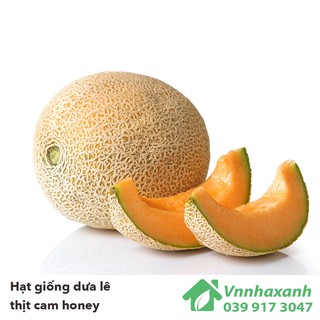 Hạt Giống Dưa Lê Thịt Cam - Honey Rất Thơm (Cucumis melo)