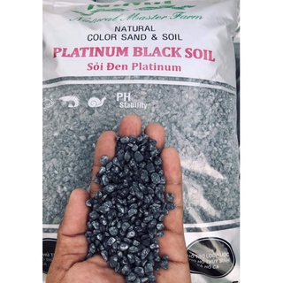 Sỏi đen Palatium - trang trí chậu cây - tiểu cảnh