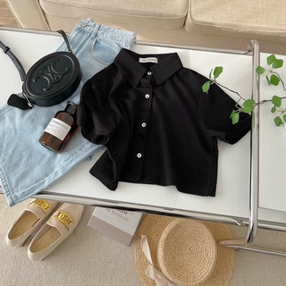 Áo polo croptop chất xốp mềm basic
