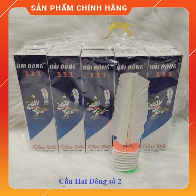 Cầu đá lông vịt cao cấp Hải Đông - dành cho thi đấu, đá phong trào
