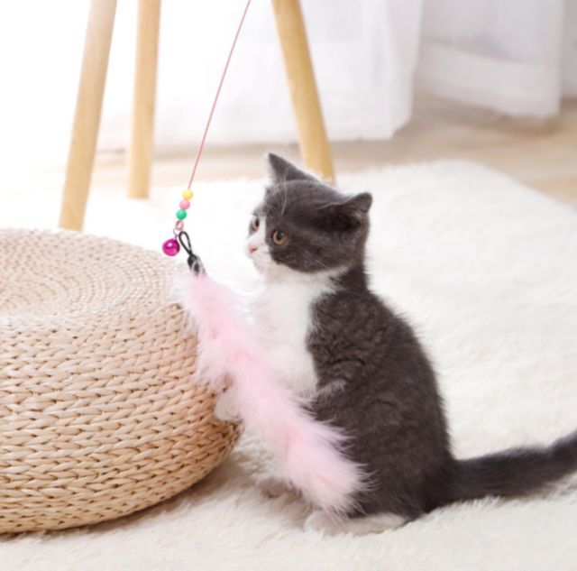 Cần câu chuông lông vũ đồ chơi cho Mèo