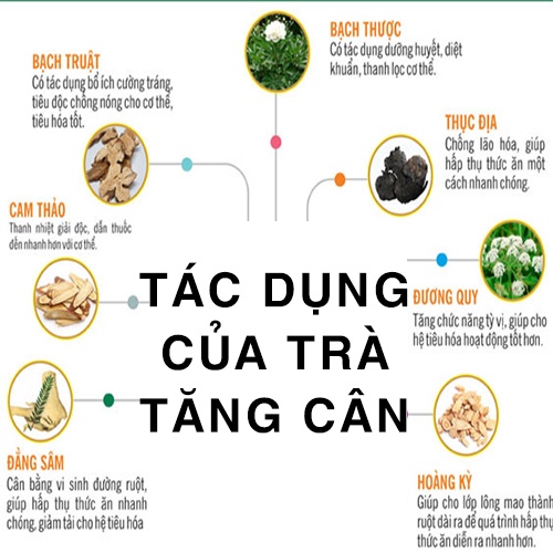 Trà tăng cân giúp bồi bổ cơ thể ăn ngon miệng hấp thụ tốt hạn chế khả năng suy dinh dưỡng | BigBuy360 - bigbuy360.vn