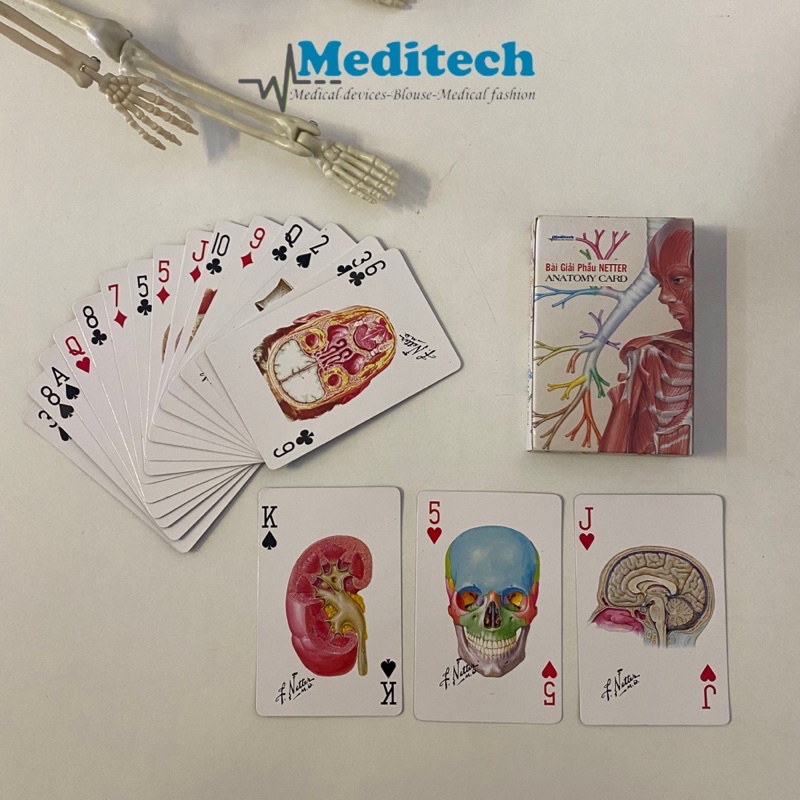 Bộ bài Giải Phẫu Netter-Netter Anatomy Card  Hottrend 2023