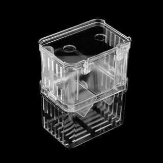 [RẺ VÔ ĐỊCH] LỒNG ĐẺ MICA CHO CÁ THỦY SINH
