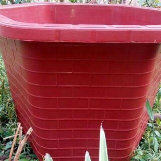 10 cái Chậu nhựa trồng cây hoa đường kính 30x20 cm