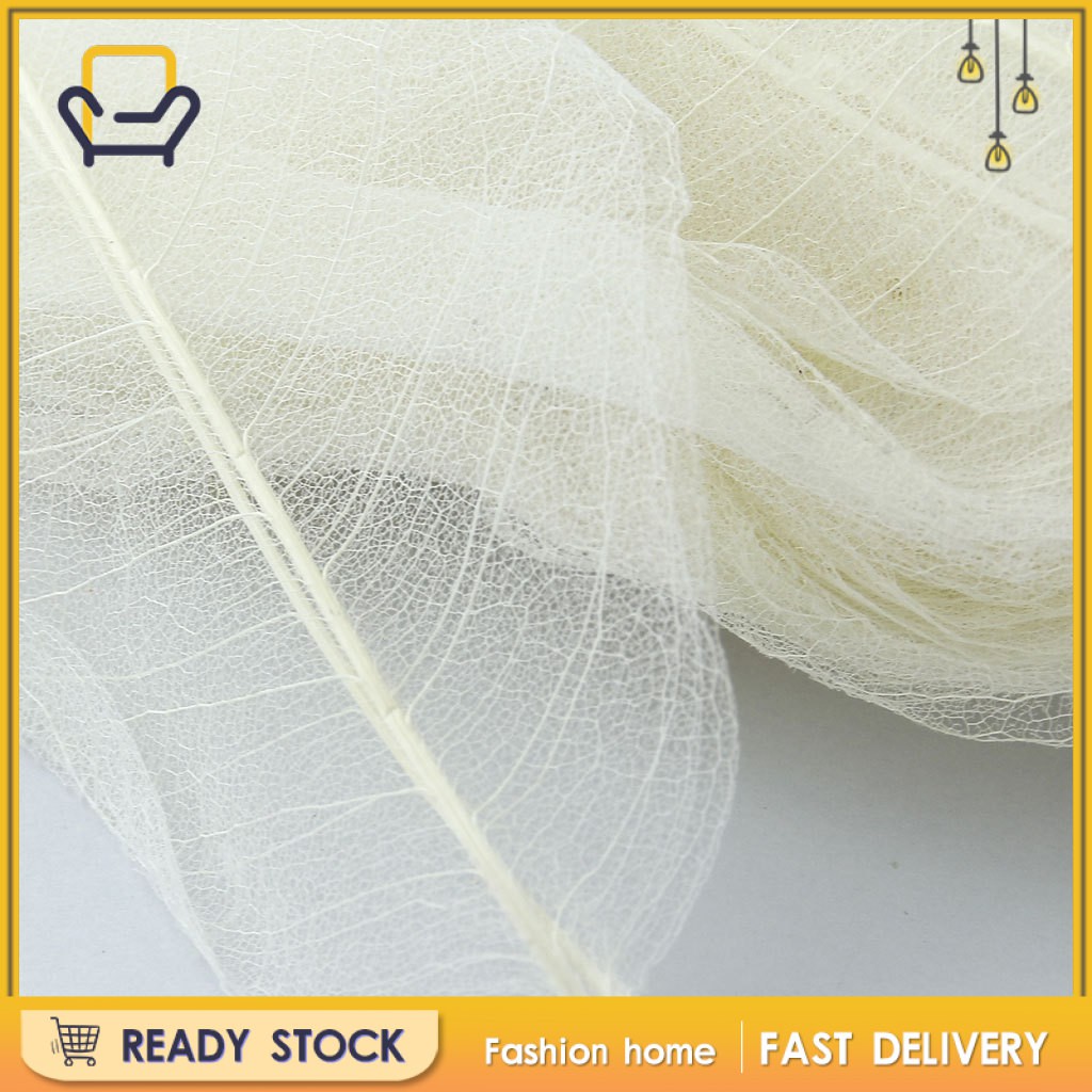 Set 50 Lá Hoa Mộc Lan Tự Nhiên Màu Trắng Thời Trang Làm Đồ Thủ Công Happi2ness