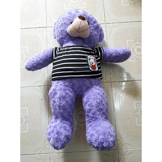 Gấu bông Teddy 1M