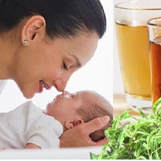 Trà Đinh Lăng Khô Lợi Sữa, Đẹp Da 200gr